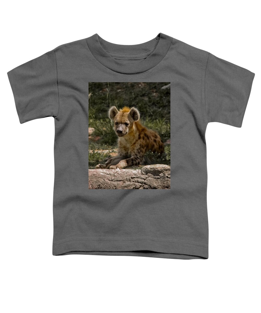 Spotted Hyena Toddler T-Shirt featuring the photograph My Friends Call Me Spike by DigiArt Diaries by Vicky B Fuller