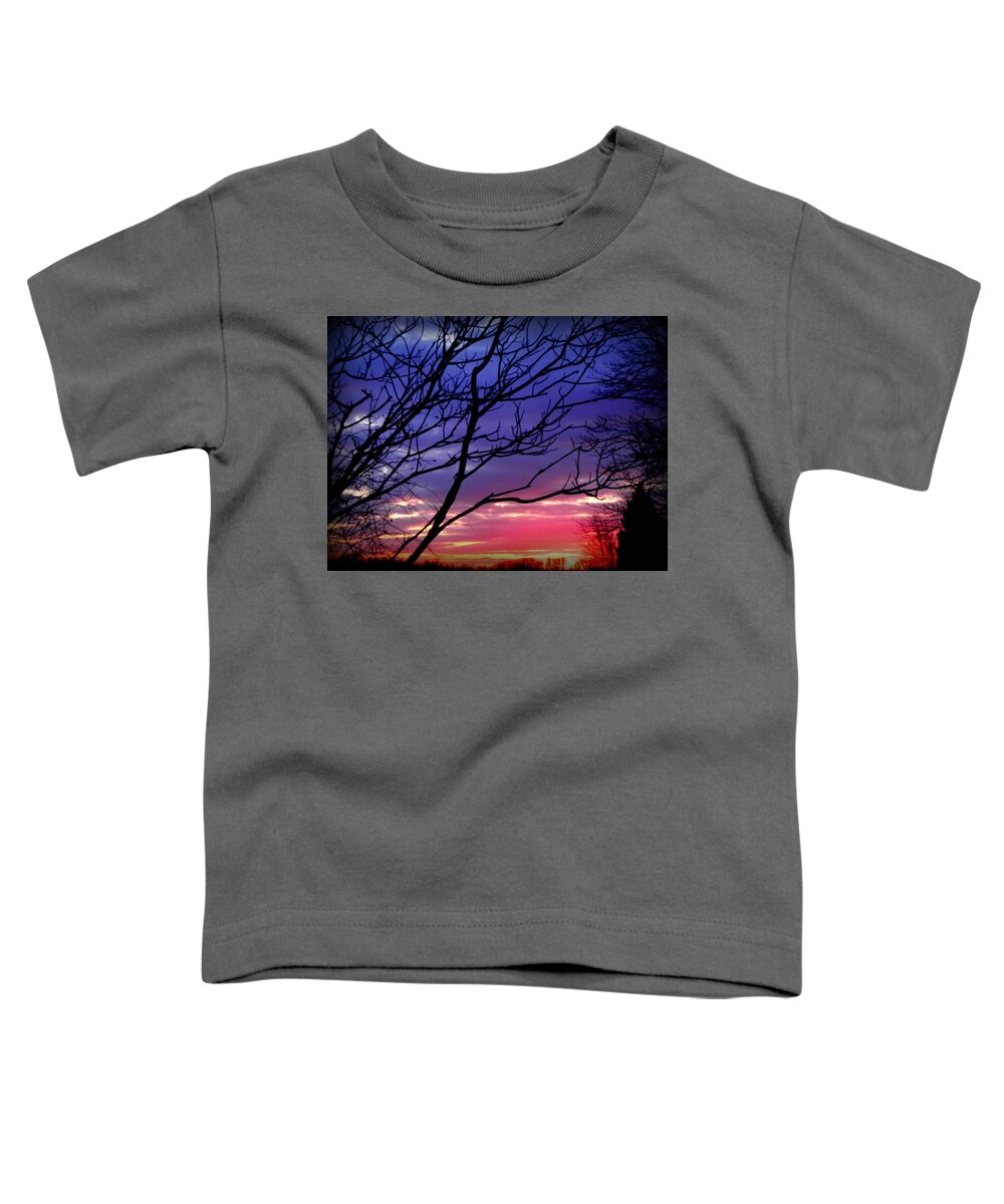 Sunset Toddler T-Shirt featuring the photograph Natures Painting by Kim Galluzzo