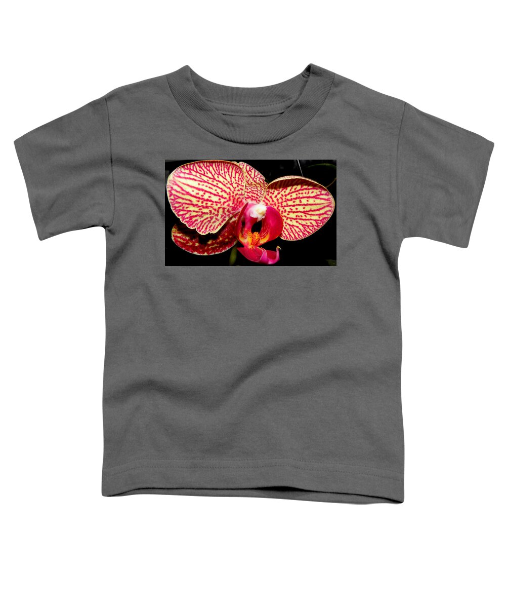 Orchid Toddler T-Shirt featuring the photograph No Two Are The Same by Kim Galluzzo