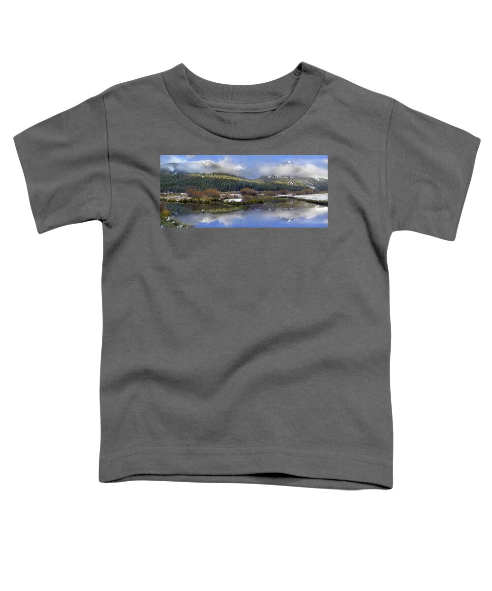 00175165 Toddler T-Shirt featuring the photograph Panoramic View Of The Pioneer Mountains by Tim Fitzharris
