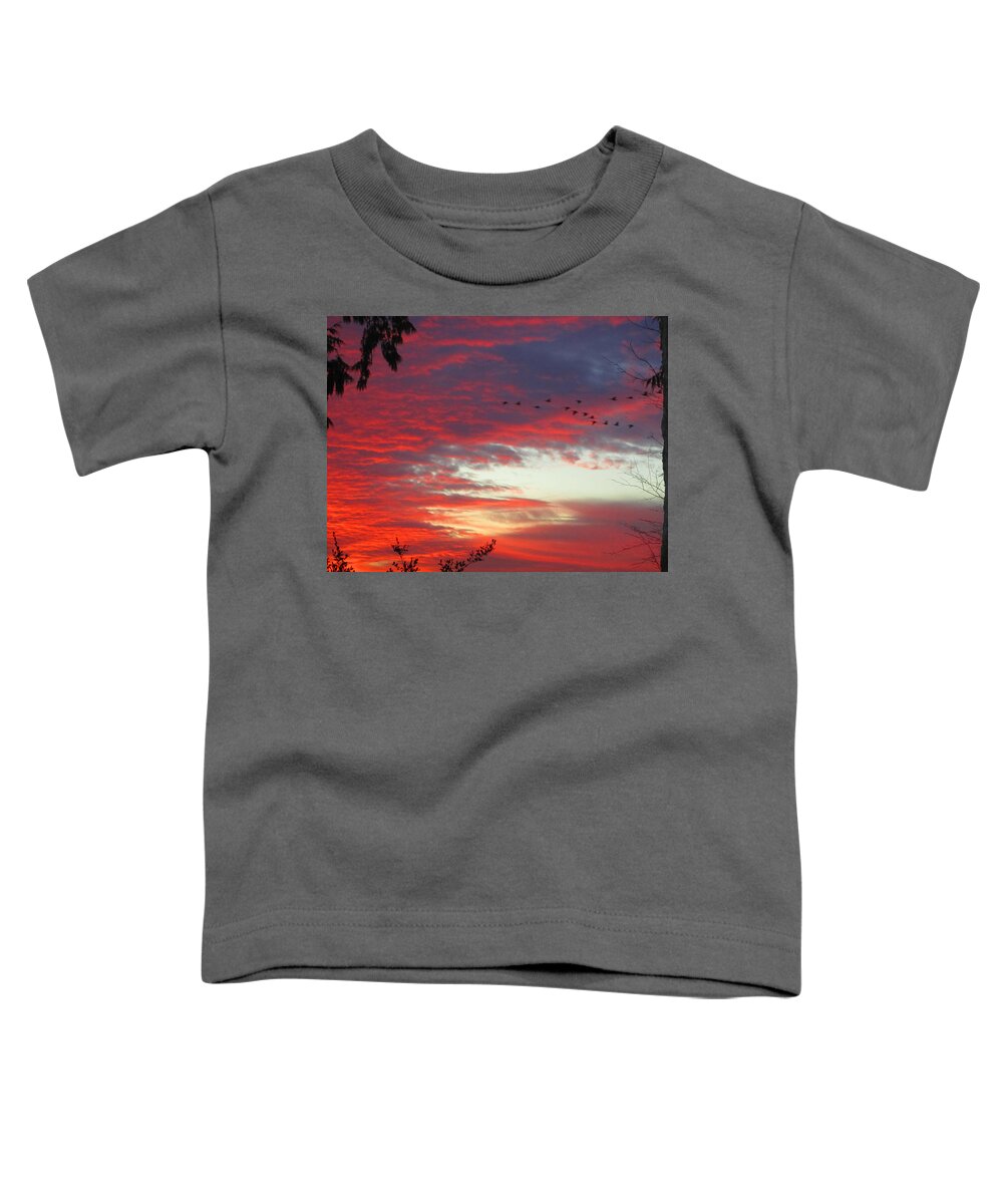 Peach Toddler T-Shirt featuring the photograph Papaya Colored Sunset with Geese by Kym Backland