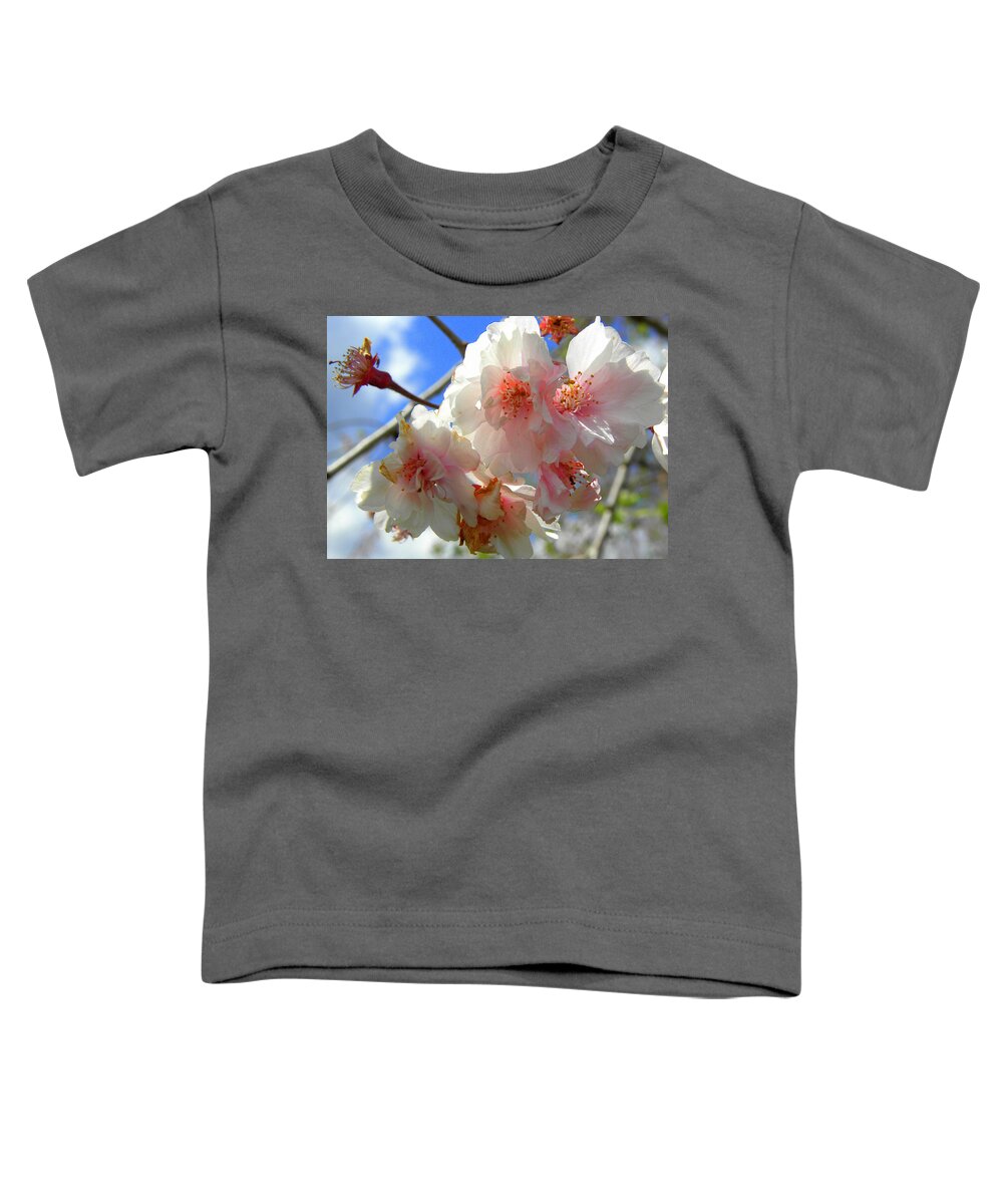 Cherry Blossoms Toddler T-Shirt featuring the photograph Pink Cherry Blossoms by Kim Galluzzo