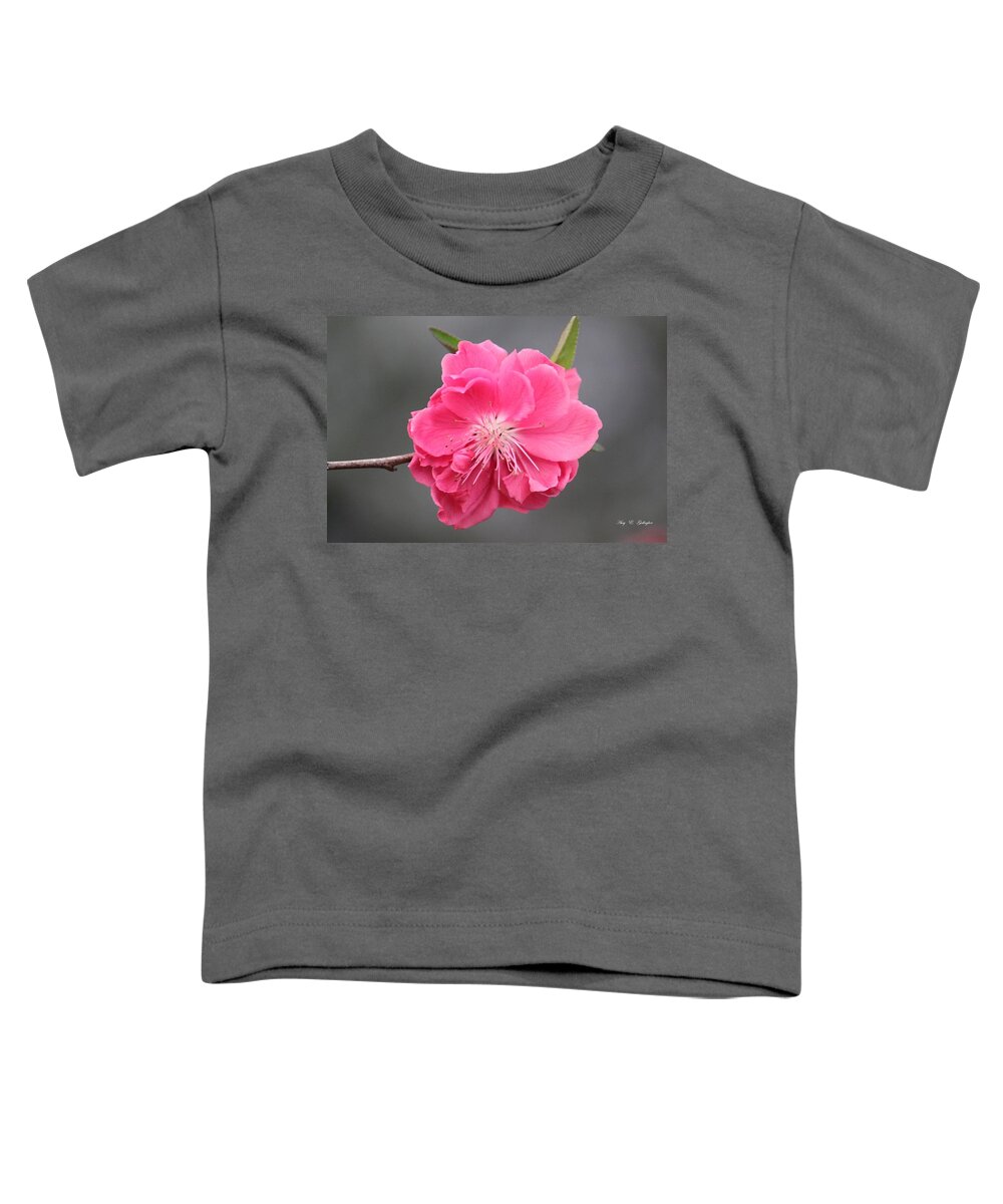 Pink Toddler T-Shirt featuring the photograph Pretty In Pink by Amy Gallagher