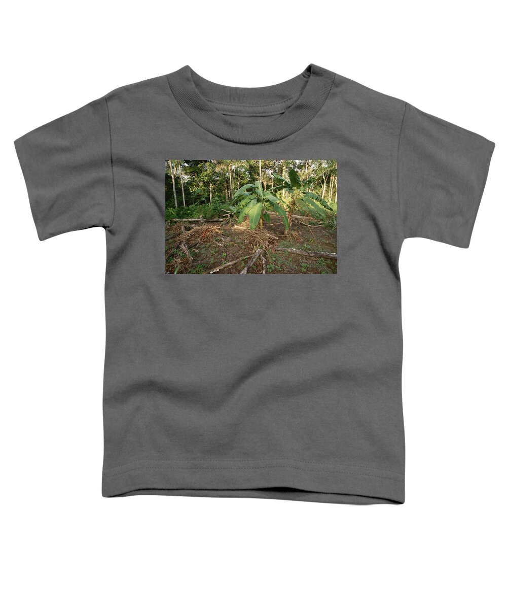 Mp Toddler T-Shirt featuring the photograph Rainforest Slash And Burn Destruction by Gerry Ellis