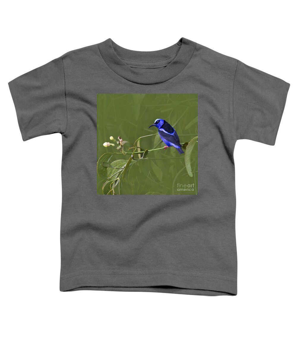 Red_legged_honeycreeper Toddler T-Shirt featuring the photograph Red-legged Honeycreeper - Cyanerpes cyaneus by Heiko Koehrer-Wagner