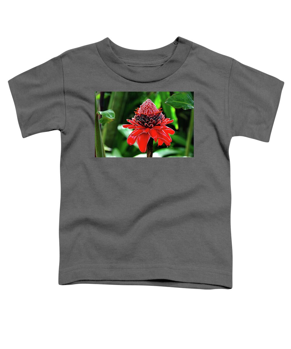 Red Torch Ginger Photographs Toddler T-Shirt featuring the photograph Red Torch Ginger by Harry Spitz