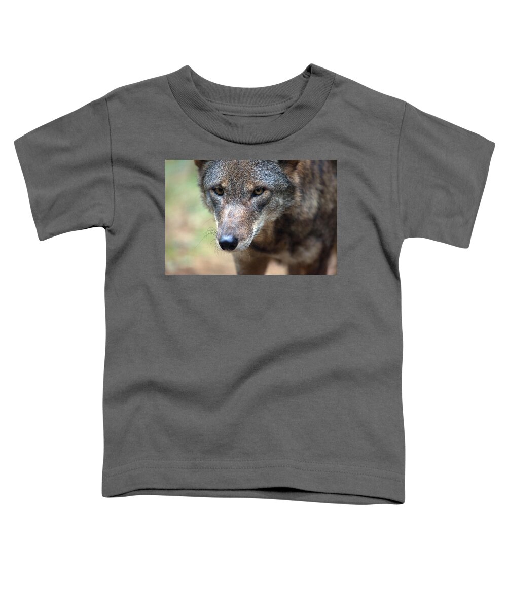 Wolf Toddler T-Shirt featuring the photograph Red Wolf Closeup by Karol Livote