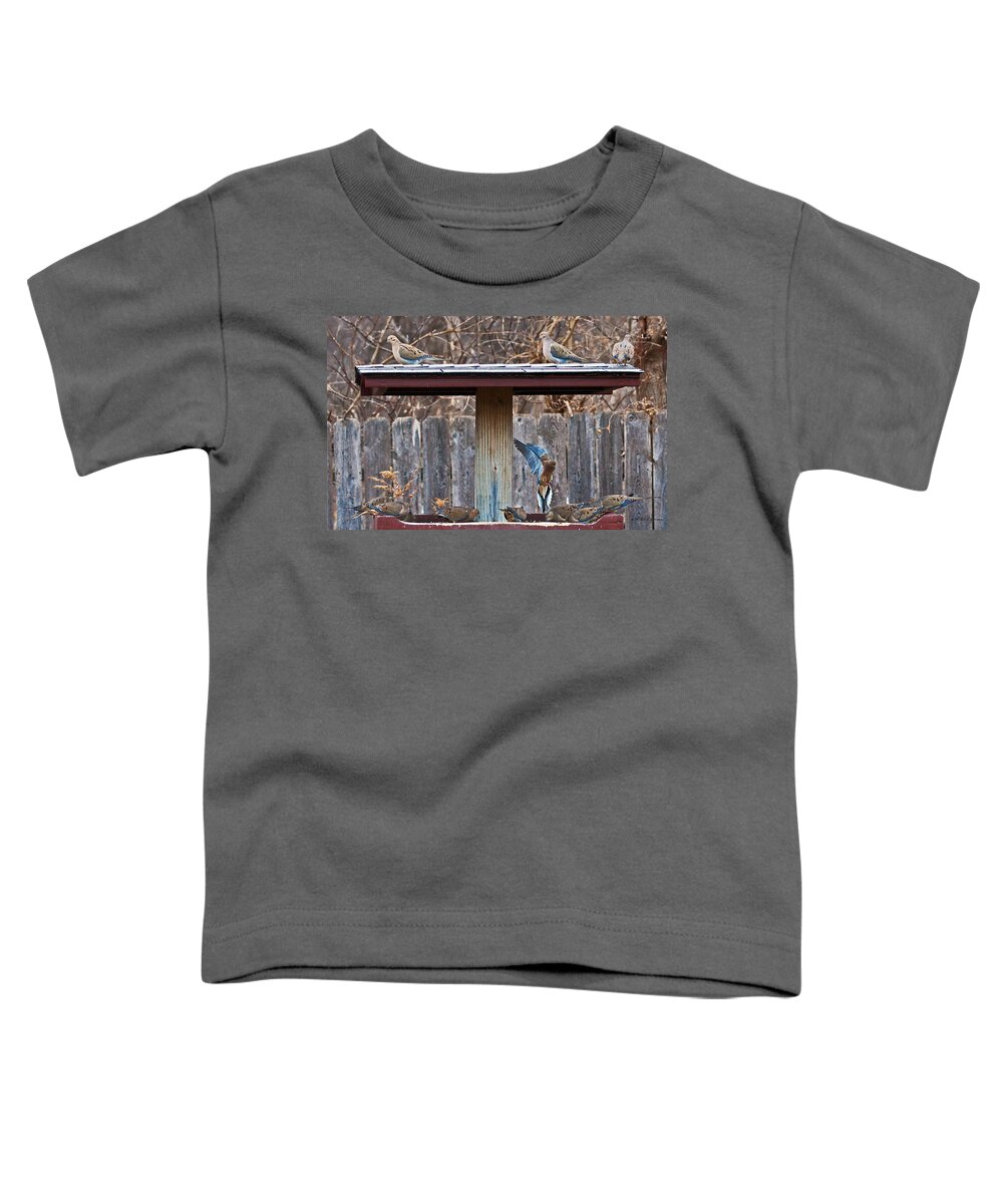 Heron Heaven Toddler T-Shirt featuring the photograph Room For One More by Ed Peterson