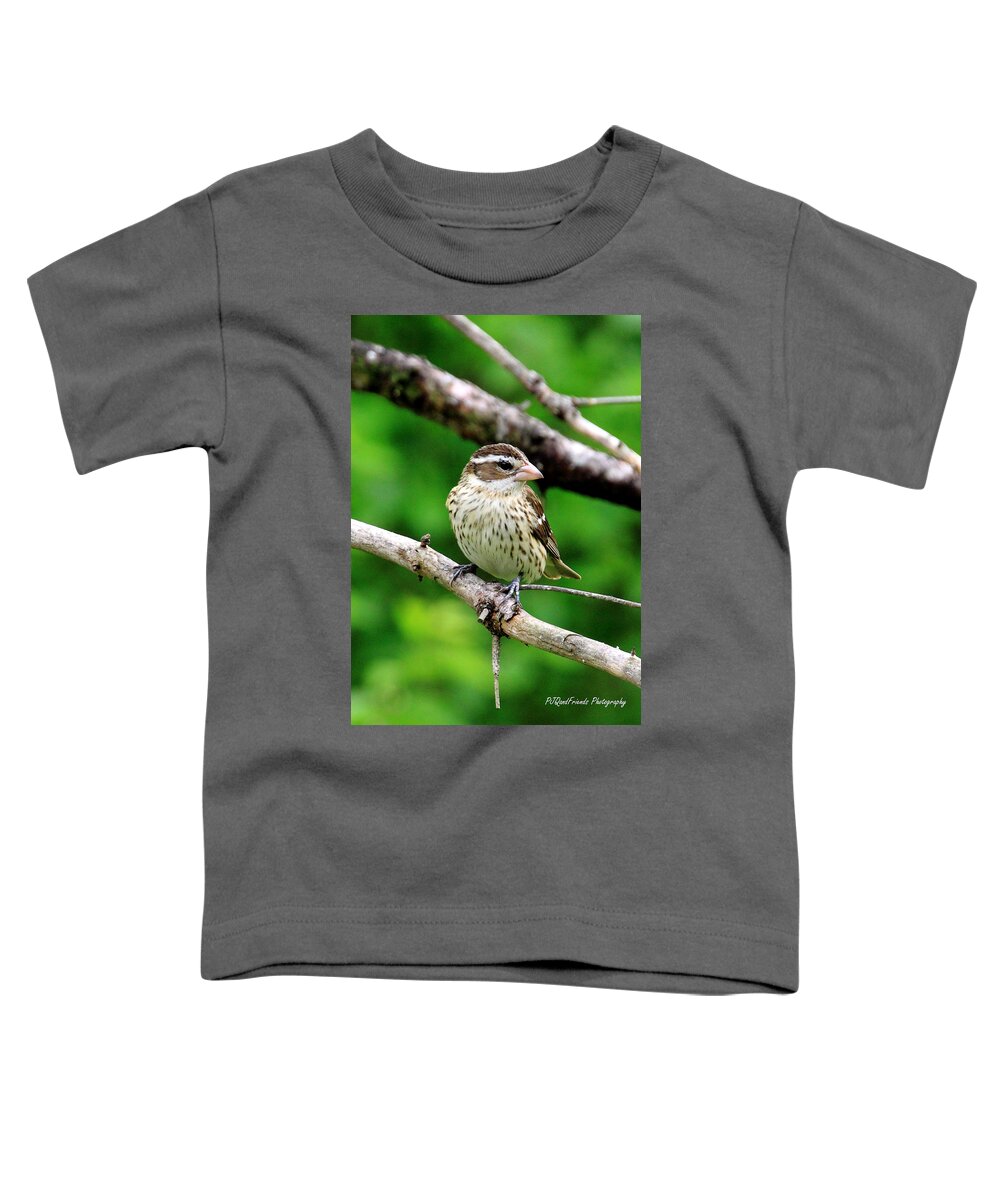  Toddler T-Shirt featuring the photograph 'Rose-breasted Grosbeak Girl' by PJQandFriends Photography