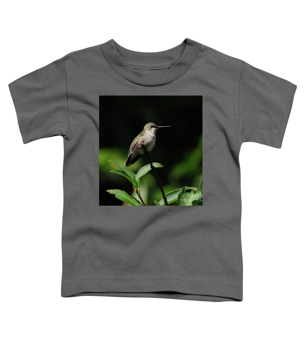 Green Toddler T-Shirt featuring the photograph Ruby-Throated Hummingbird Female by Ronald Grogan