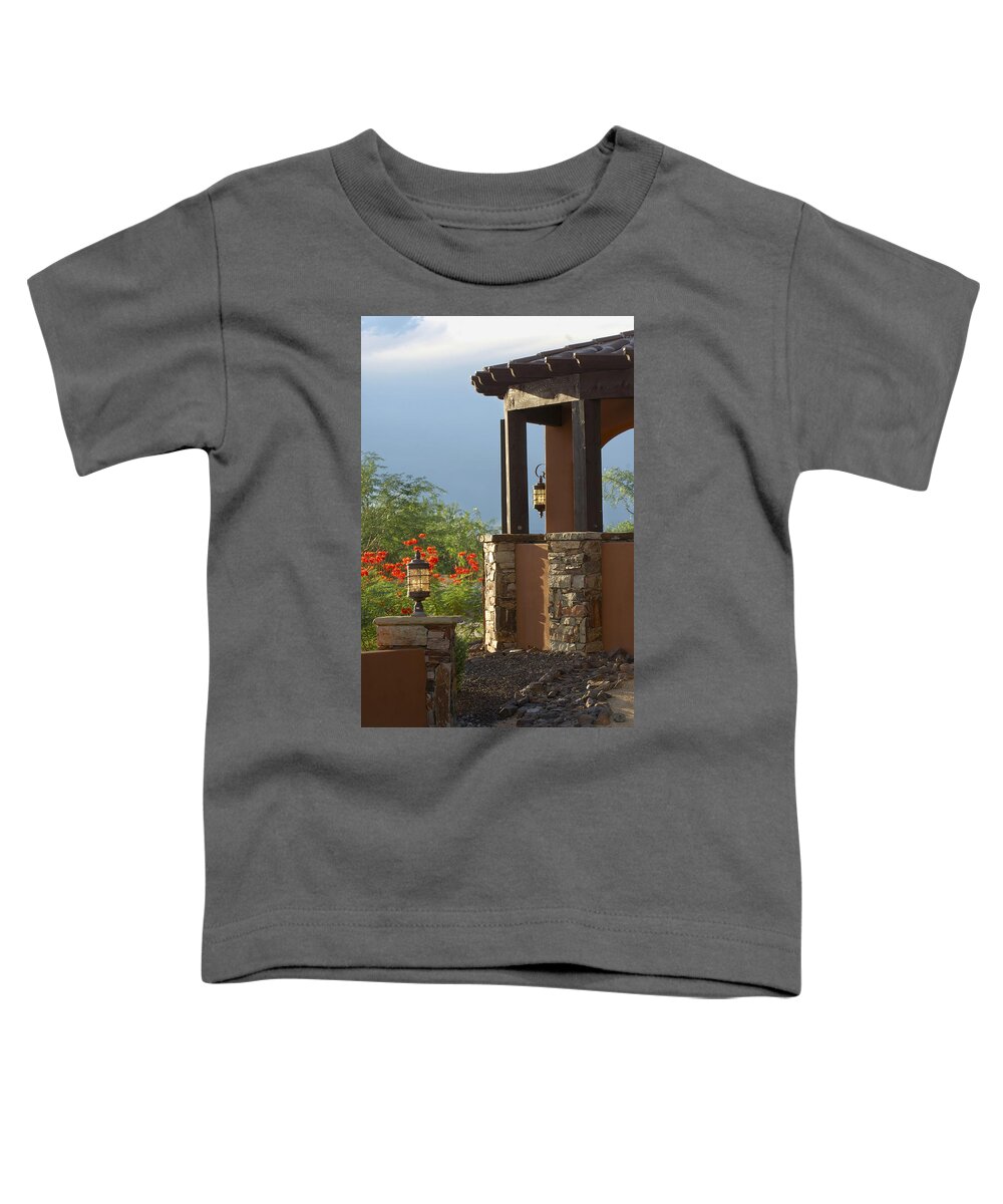 Scottsdale Arizona Toddler T-Shirt featuring the photograph Scottsdale Arizona 8 by Jill Reger