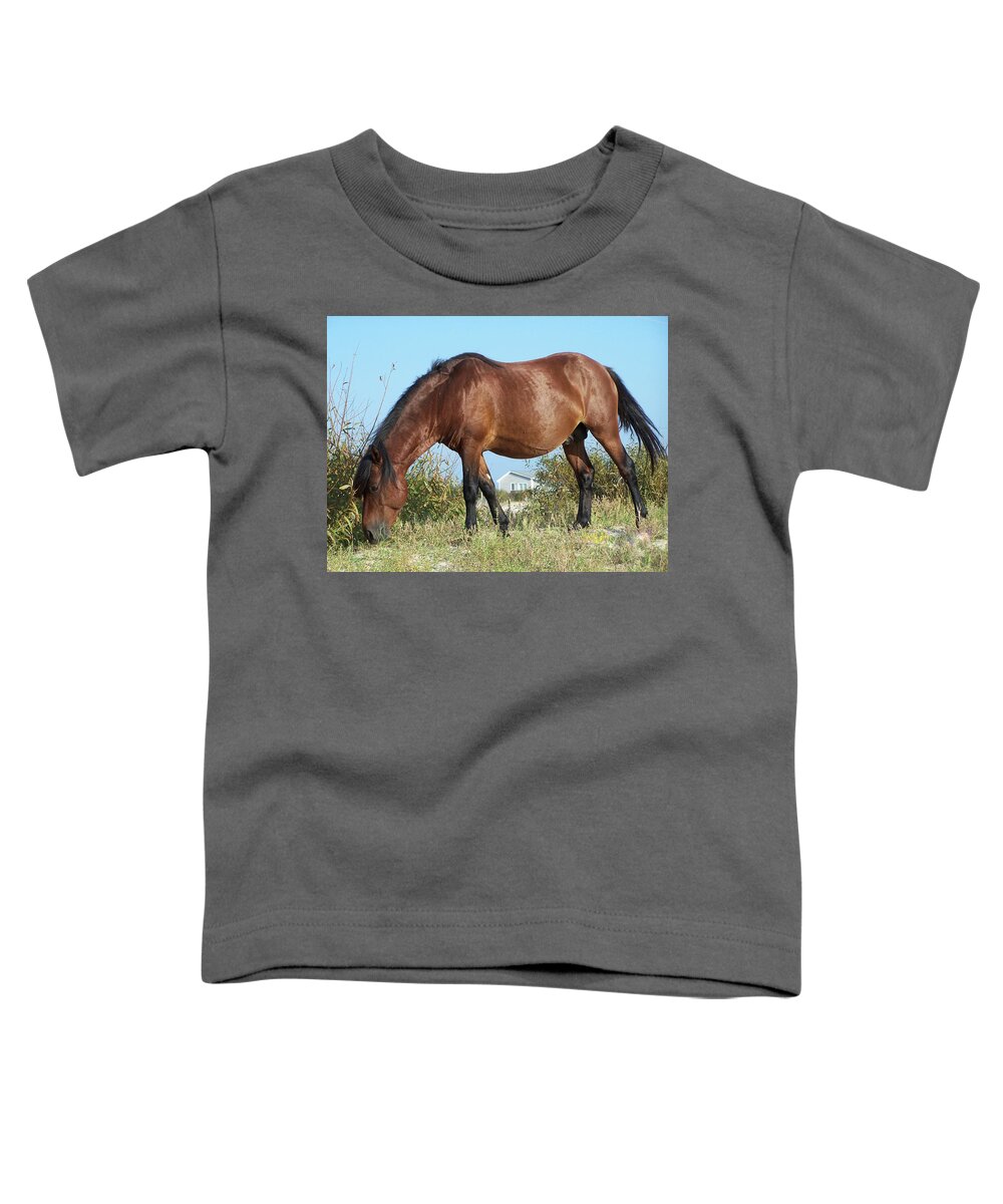 Wild Spanish Mustangs Toddler T-Shirt featuring the photograph Serene Masculinity by Kim Galluzzo