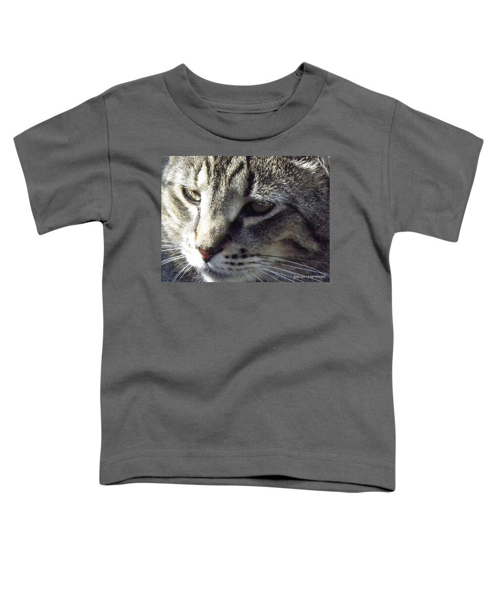 Cat Toddler T-Shirt featuring the photograph Serious by Kim Galluzzo
