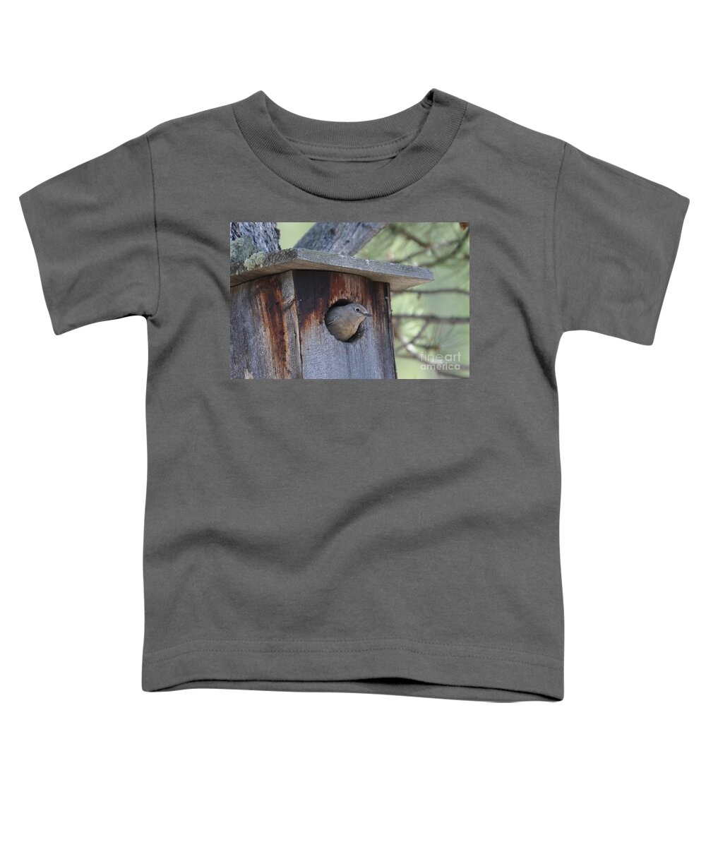 Bird Toddler T-Shirt featuring the photograph She's Home by Dorrene BrownButterfield