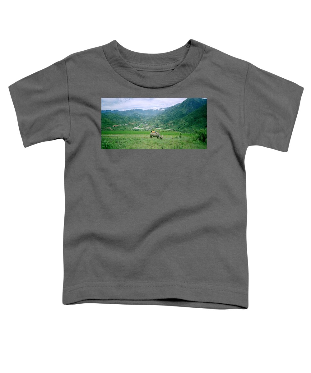 Childhood Toddler T-Shirt featuring the photograph Sleeping Boy by Shaun Higson