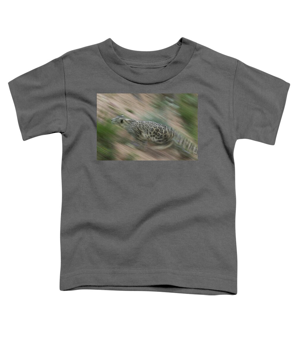 Mp Toddler T-Shirt featuring the photograph Snow Leopard Uncia Uncia Running by Cyril Ruoso