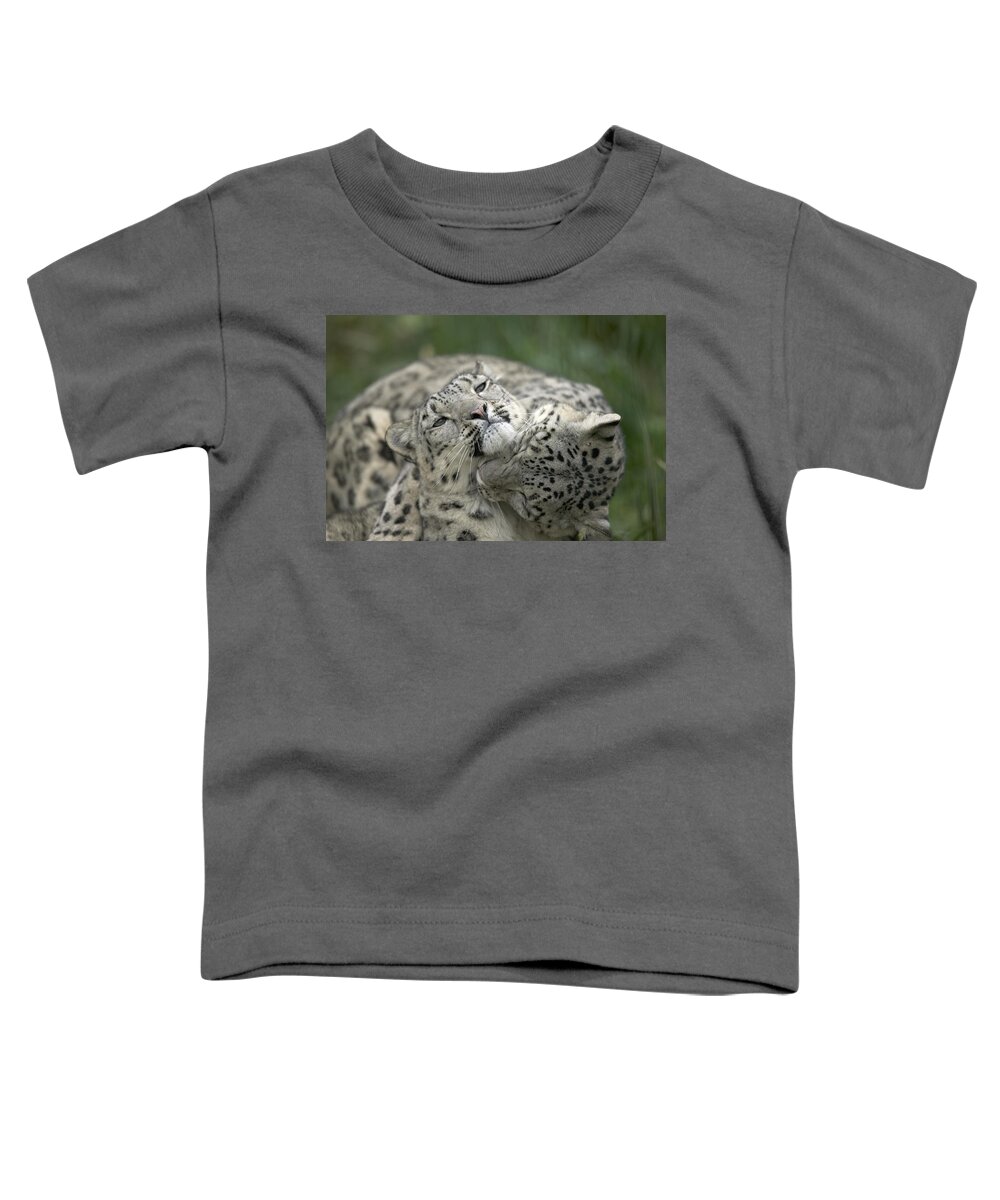 Mp Toddler T-Shirt featuring the photograph Snow Leopards Playing by Cyril Ruoso