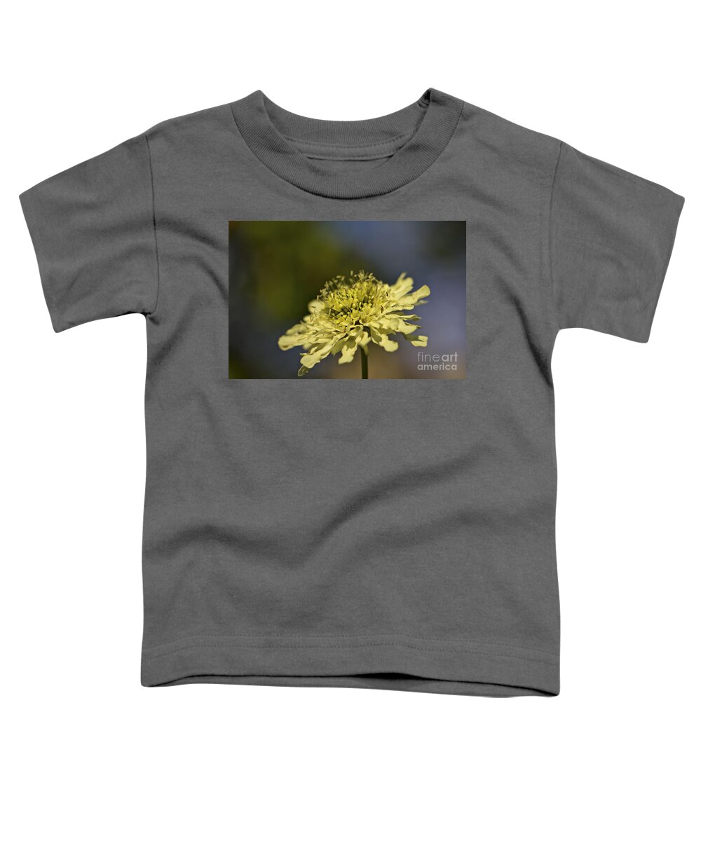 Yellow Toddler T-Shirt featuring the photograph Soft Yellow. by Clare Bambers