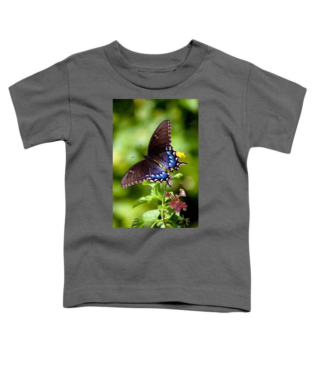 Butterfly Toddler T-Shirt featuring the photograph Spicebush Swallowtail by Lynne Jenkins