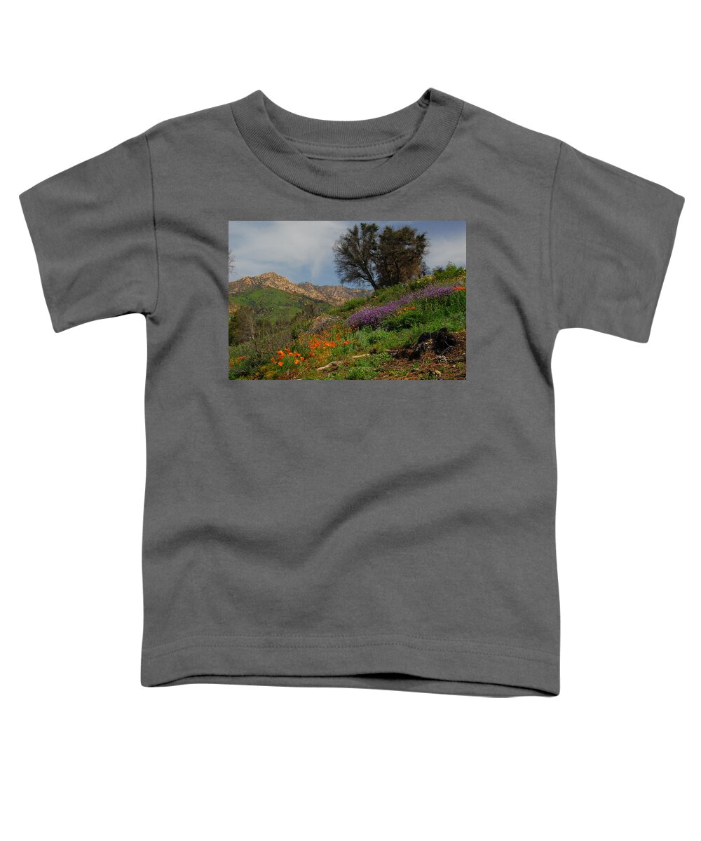 Spring Toddler T-Shirt featuring the photograph Spring in Santa Barbara by Lynn Bauer