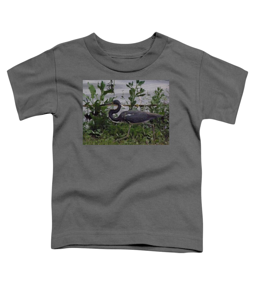 Bird Toddler T-Shirt featuring the photograph Stalking by Kim Galluzzo