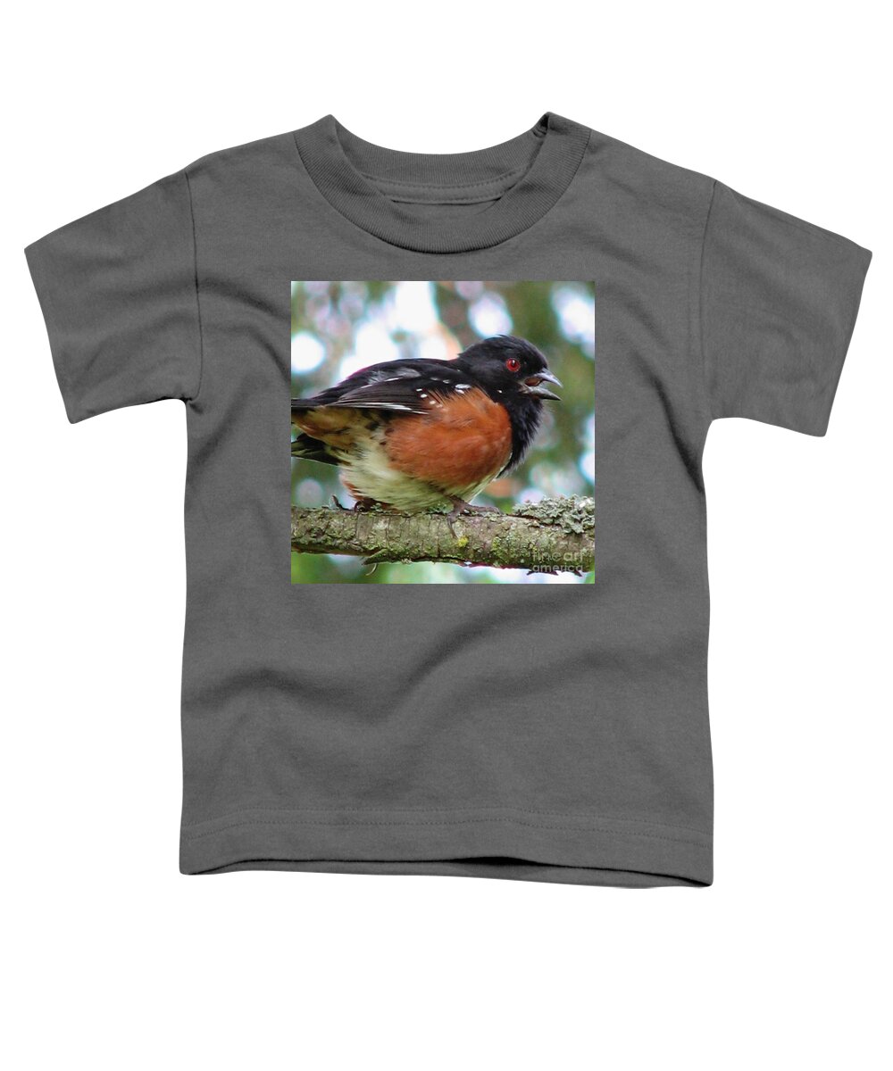 Birds Toddler T-Shirt featuring the photograph Talkative Spotted Towhee by Rory Siegel