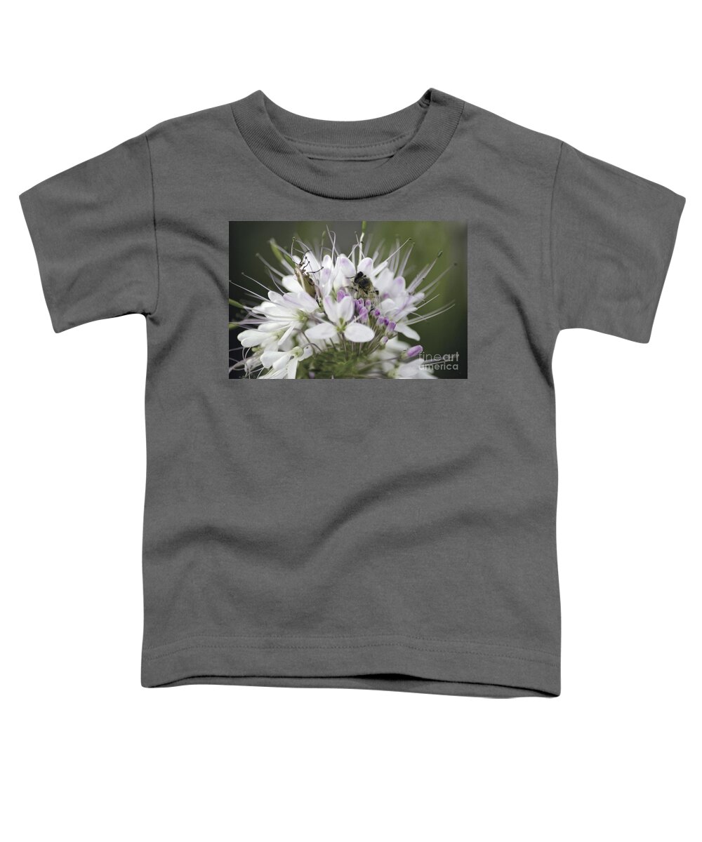 Bees Toddler T-Shirt featuring the photograph The Beetle and the Bee by Donna Greene