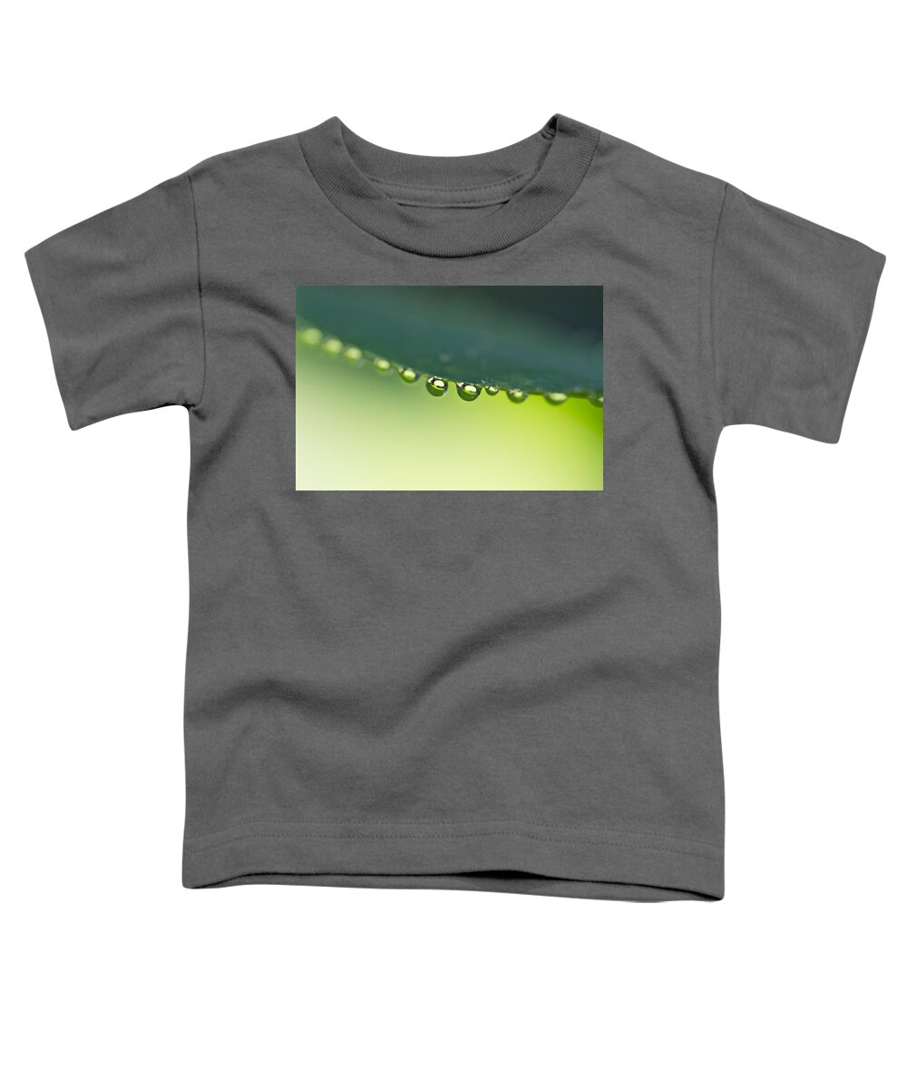 Drops Toddler T-Shirt featuring the photograph The Edge I by Priya Ghose