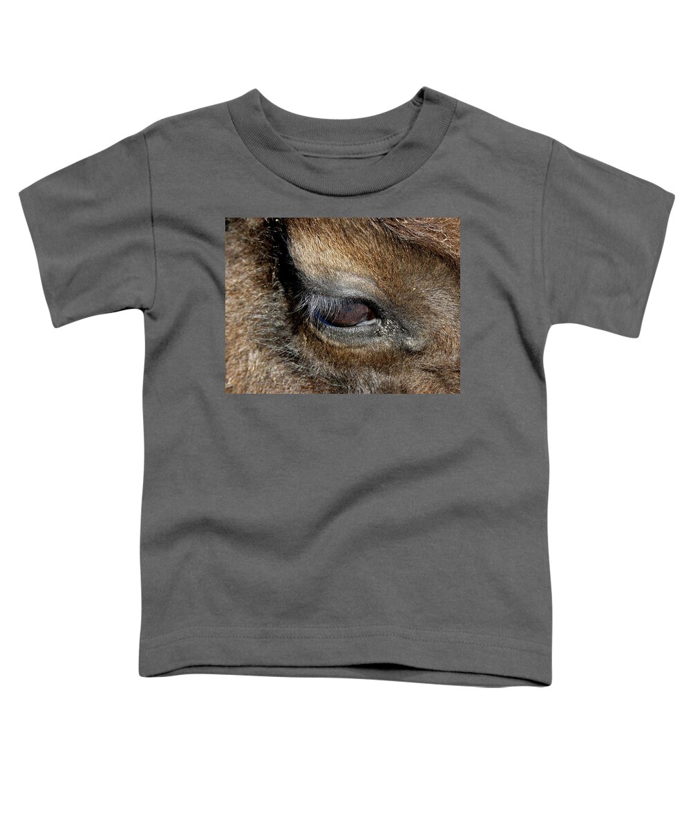 Buffalo Toddler T-Shirt featuring the photograph the eye of a Bison by Kim Galluzzo