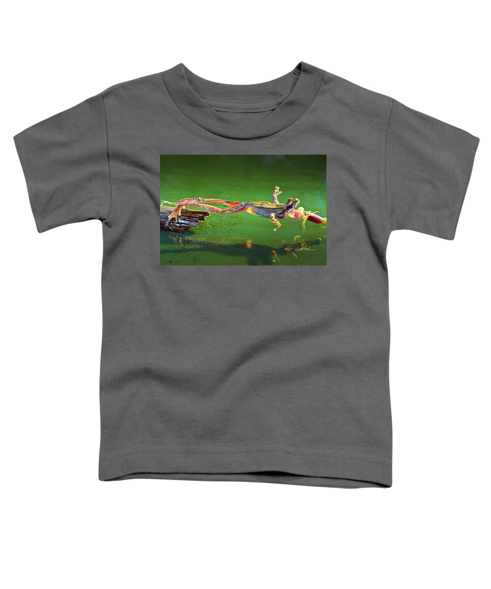 Frog Toddler T-Shirt featuring the photograph The moment of predation by William Lee