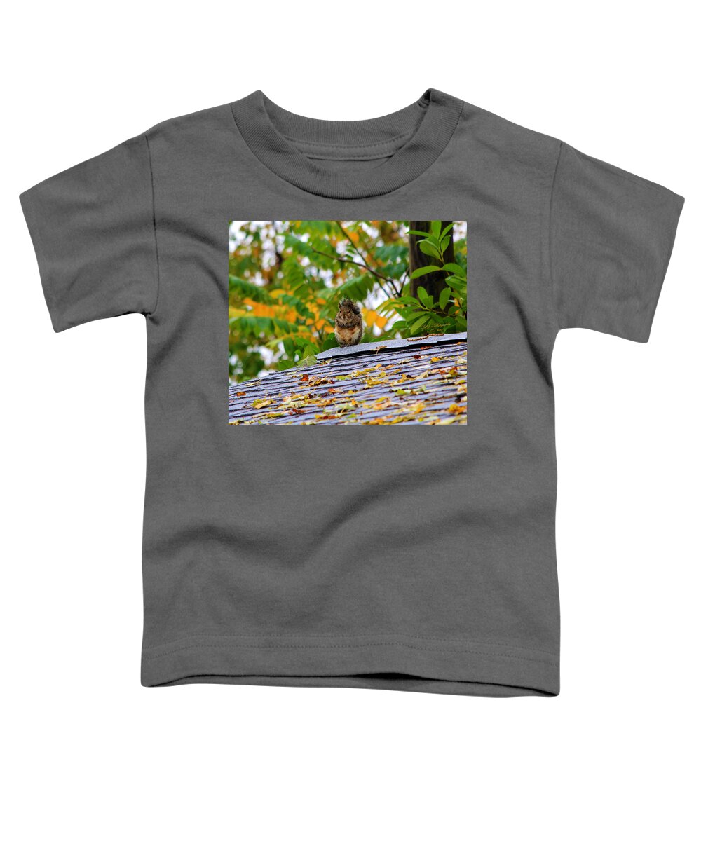 Squirrel Toddler T-Shirt featuring the photograph The Poser II by Jeanette C Landstrom