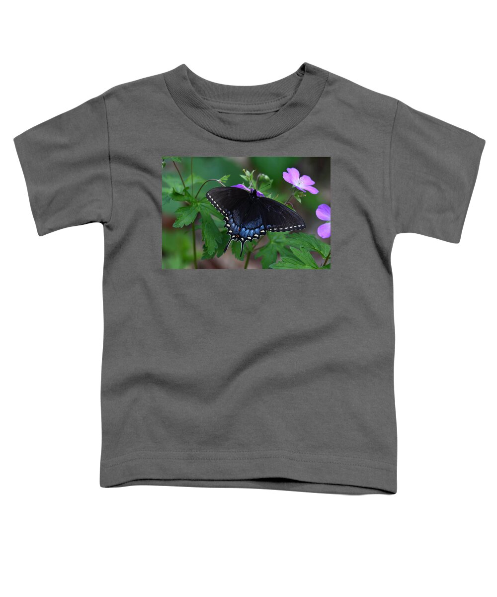 Butterfly Toddler T-Shirt featuring the photograph Tiger Swallowtail Female Dark Form On Wild Geranium by Daniel Reed