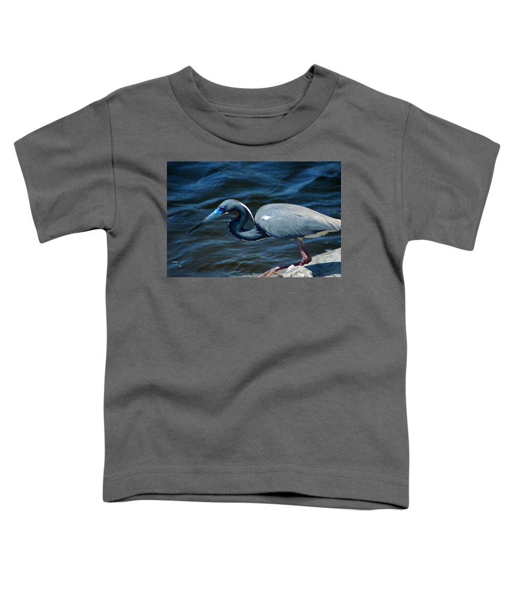 Tricolored Heron Toddler T-Shirt featuring the photograph TriColored Heron by David Weeks