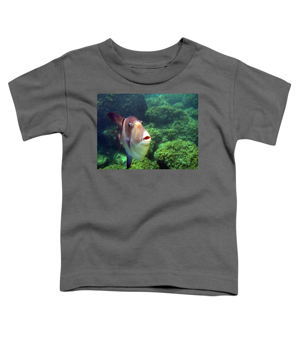 Cala Santa Galdana Toddler T-Shirt featuring the photograph Triggerfish  by Rod Johnson