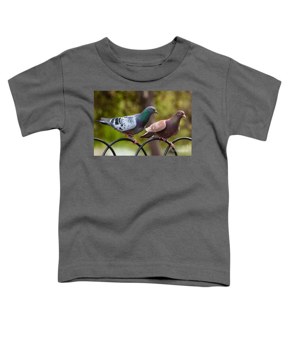England Toddler T-Shirt featuring the photograph Two pigeons by Andrew Michael