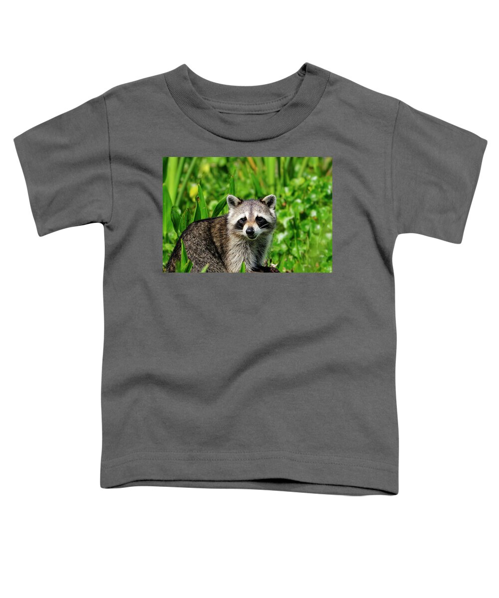 Wetlands Toddler T-Shirt featuring the photograph Wetlands Racoon Bandit by Bill Dodsworth