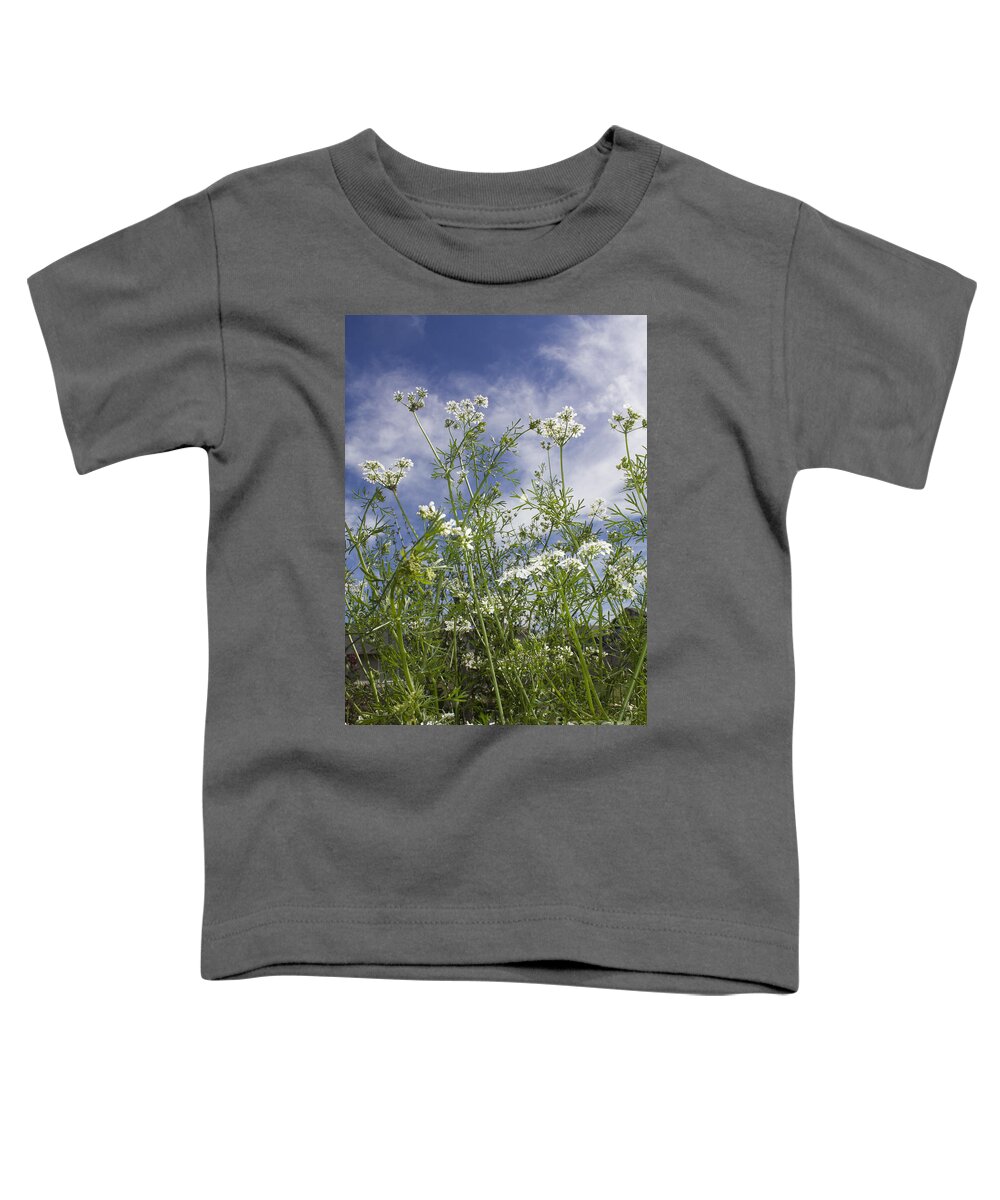 Portait Toddler T-Shirt featuring the photograph White Cilantro Flowers by Donna L Munro