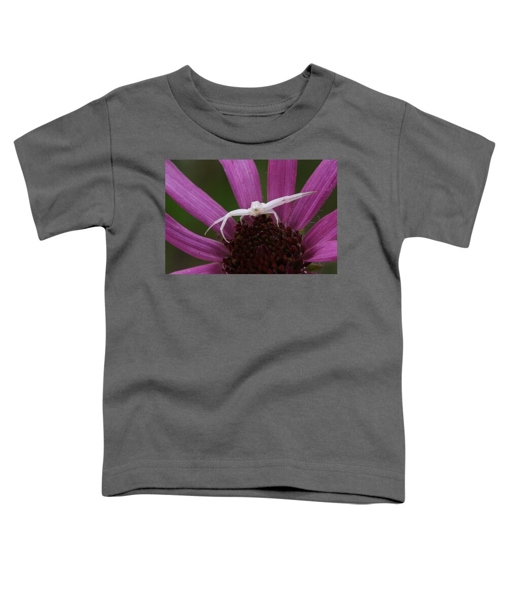 Whitebanded Crab Spider Toddler T-Shirt featuring the photograph Whitebanded Crab Spider On Tennessee Coneflower by Daniel Reed