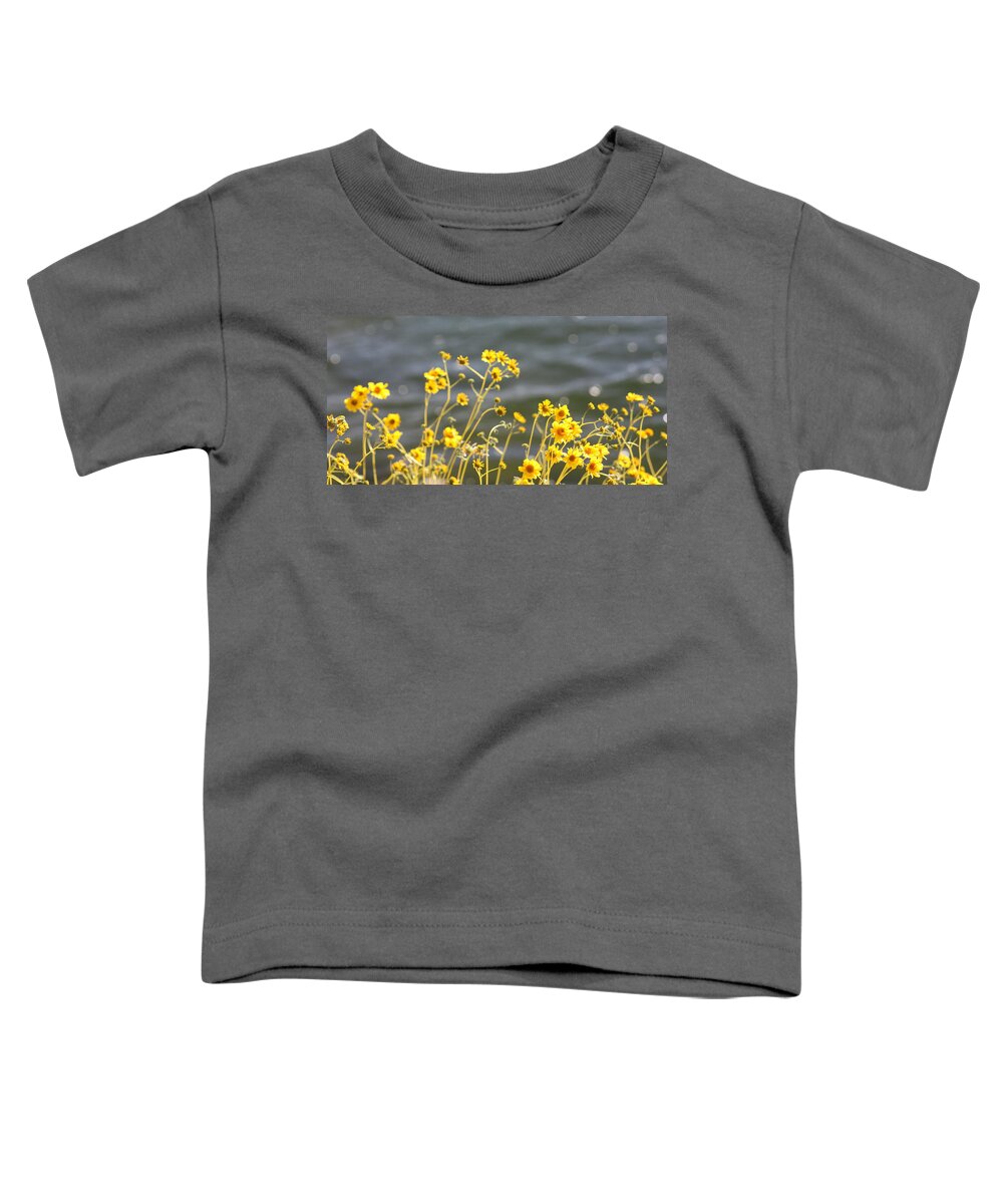 Yellow Toddler T-Shirt featuring the photograph Wild Flowers by Kim Galluzzo