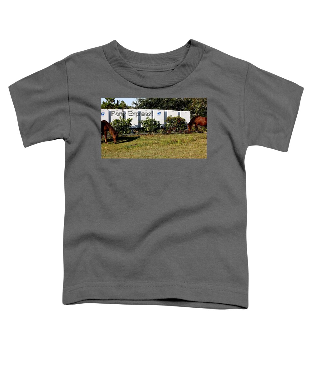 Wild Spanish Mustang Toddler T-Shirt featuring the photograph Wild Pony Express by Kim Galluzzo