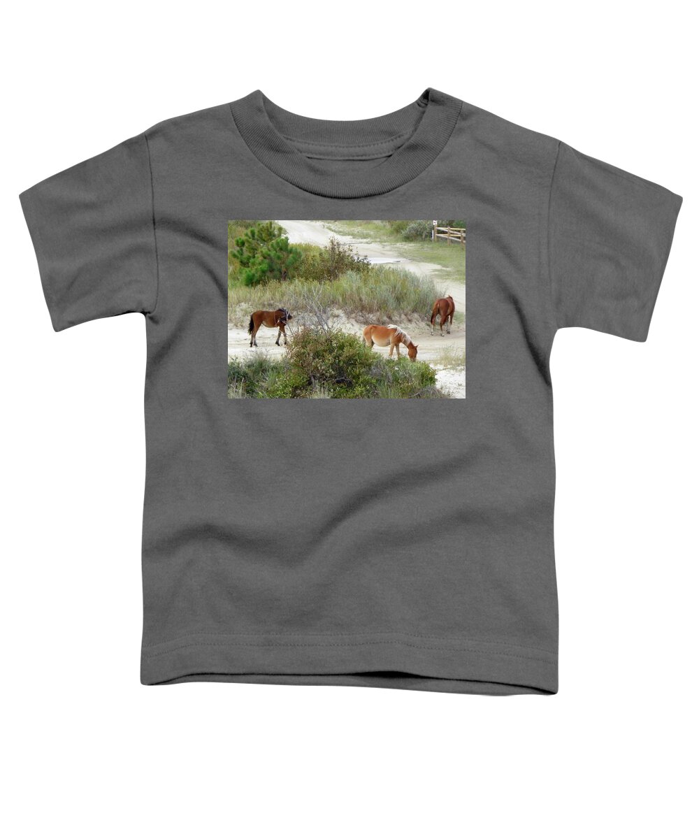 Wild Toddler T-Shirt featuring the photograph Wild Spanish Mustangs of the Outer Banks of North Carolina by Kim Galluzzo Wozniak