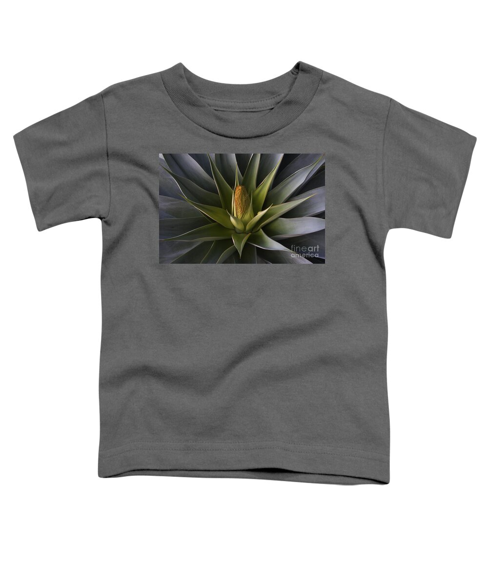 Mexico_d868 Toddler T-Shirt featuring the photograph Yucca Bloon by Craig Lovell