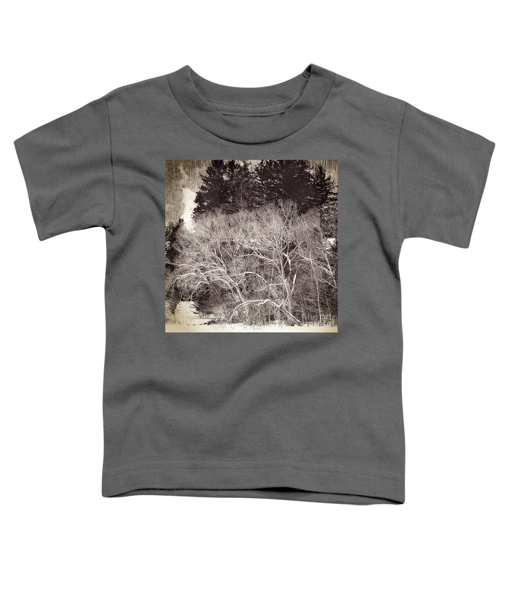  Toddler T-Shirt featuring the photograph 0005 Pe 2 by Burney Lieberman
