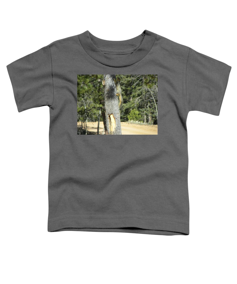Tree Toddler T-Shirt featuring the photograph Squirrel Home Divide CO by Margarethe Binkley