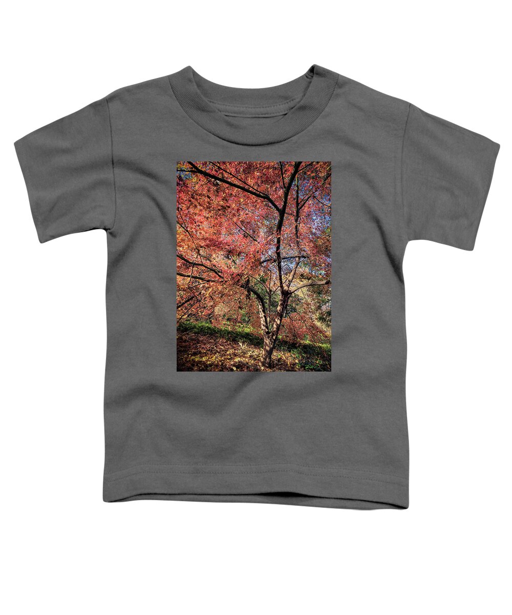 Washington D.c. Toddler T-Shirt featuring the photograph Arboretum Colors #1 by Robert Fawcett