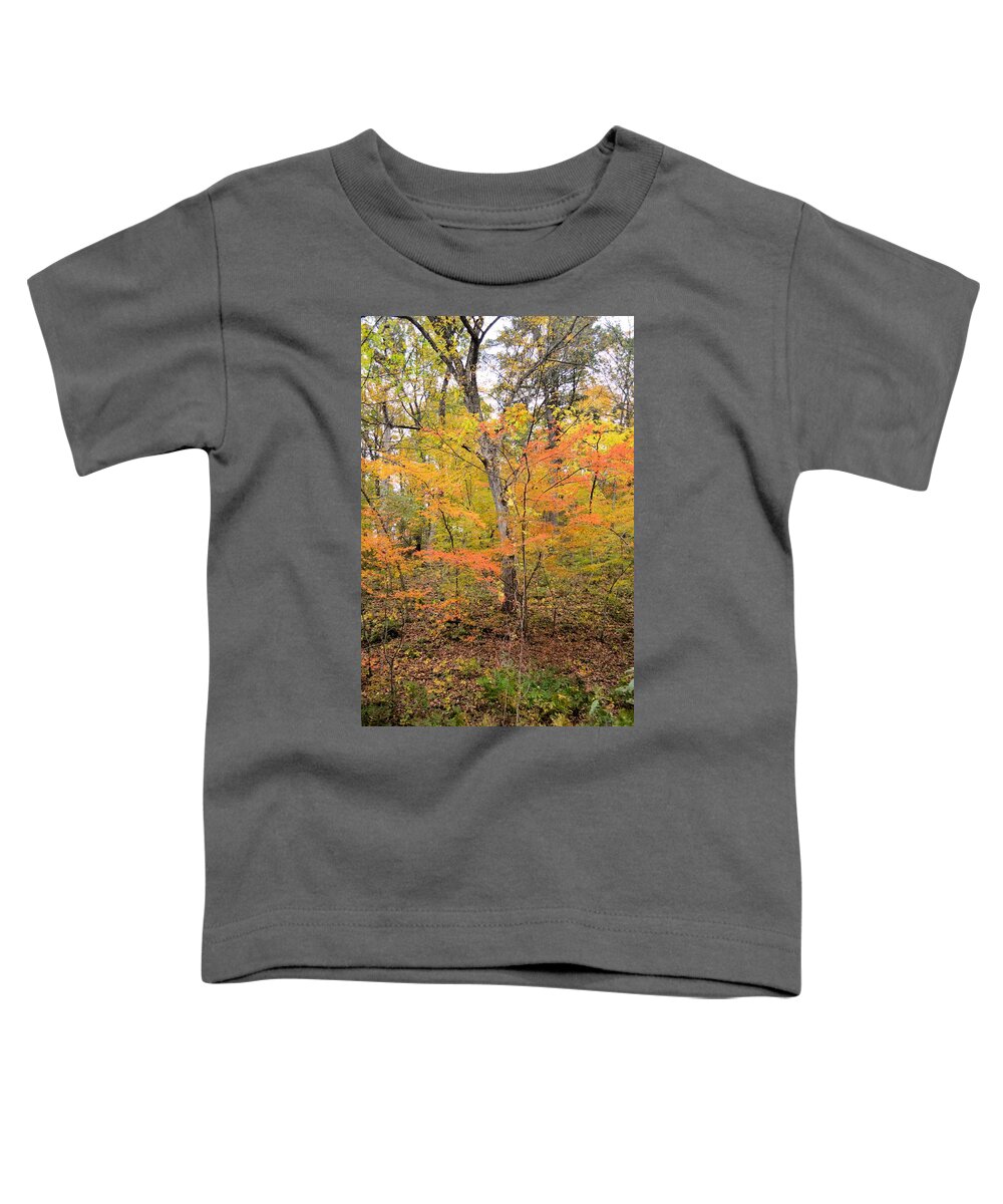 Forest Toddler T-Shirt featuring the photograph Autumn #1 by Bonfire Photography