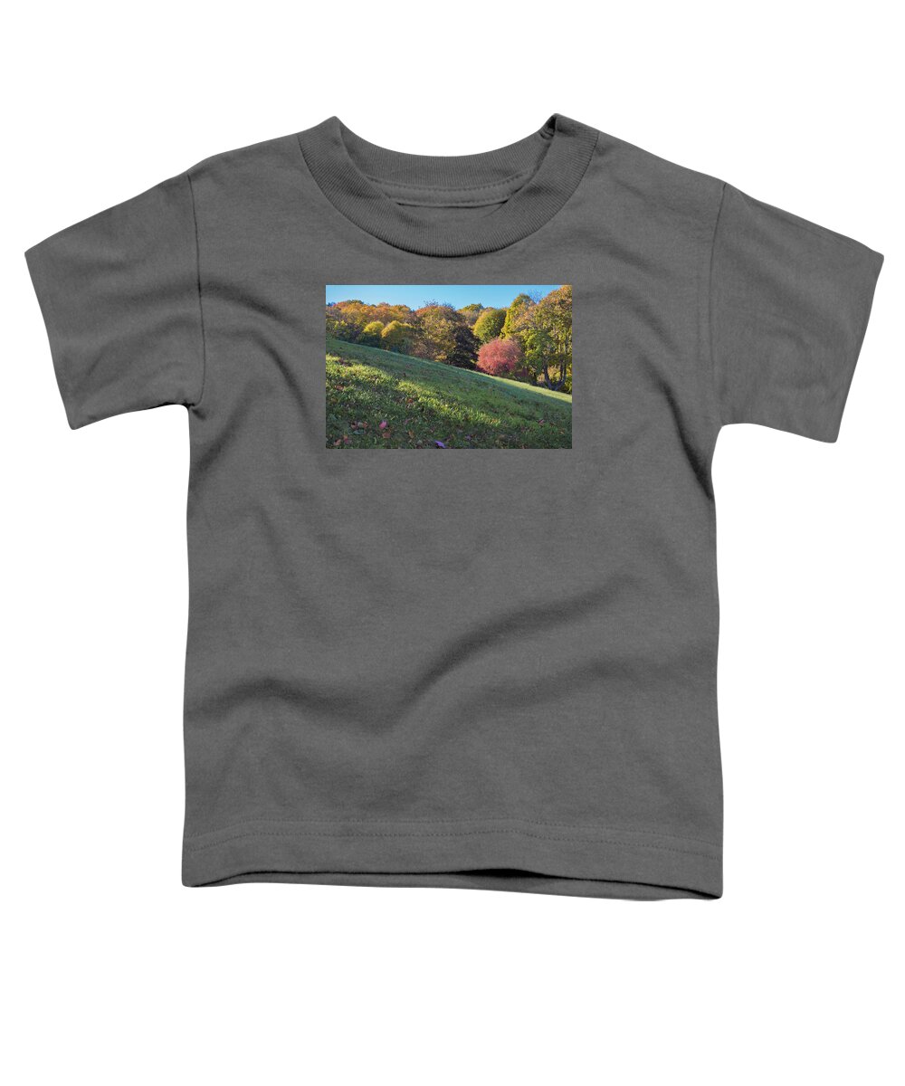Vermont Autumn Toddler T-Shirt featuring the photograph Autumn Palette #1 by Tom Singleton