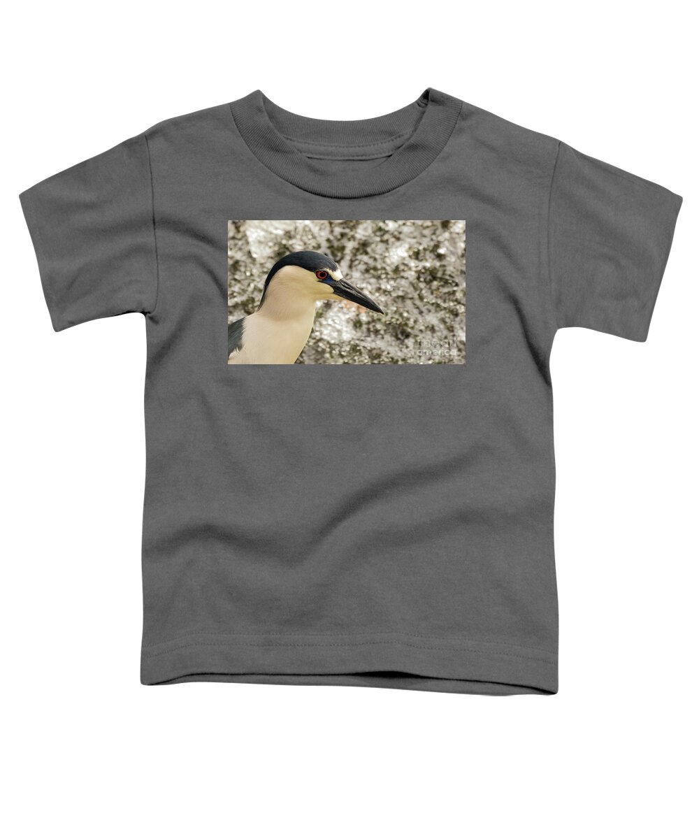 Heron Toddler T-Shirt featuring the photograph Black crowned night heron portrait #1 by Sam Rino