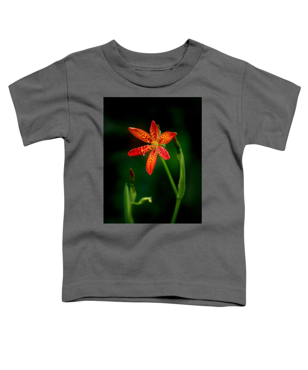 Flower Toddler T-Shirt featuring the photograph Blackberry Lily Iris domestica #1 by Nathan Abbott