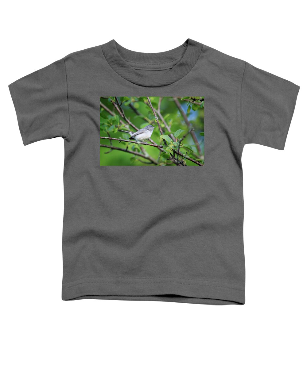 Gary Hall Toddler T-Shirt featuring the photograph Blue-gray Gnatcatcher #1 by Gary Hall